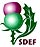 Scottish Disability Equality Forum